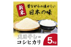 ＼新米 先行予約／ 米 5kg 精米 こしひかり 【令和7年産】 お米 白米 コシヒカリ 精米5kg 自然乾燥 天日干し 茨城県 城里町【配送不可地域：離島】 (BJ019)