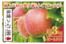 【数量限定/先行予約】樹上完熟の奥久慈りんご「サンふじ」約3kg（6～14玉）【2025年11月上旬頃より順次発送予定】斉藤りんご園第2直売所｜茨城県 大子町 林檎 果物 フルーツ 旬（CG007-1）