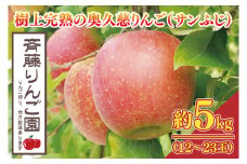 【数量限定/先行予約】樹上完熟の奥久慈りんご「サンふじ」約5kg（12～23玉）【2025年11月上旬頃より順次発送予定】斉藤りんご園第2直売所｜茨城県 大子町 林檎 果物 フルーツ 旬（CG008-1）
