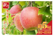 【先行予約】【訳あり】樹上完熟の奥久慈りんご「サンふじ」約5kg（12～23玉）【2025年11月上旬頃より順次発送予定】不揃い 規格外 傷あり 色むら 家庭用｜斉藤りんご園第2直売所 茨城県 大子町 林檎 果物 フルーツ 旬（CG011-1）