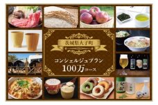 大子町コンシェルジュプラン　寄附額100万円コース｜茨城県 大子町 コンシェルジュ 定期便 選べる 特別コース(CN003)