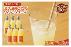 斉藤りんご園の奥久慈りんごジュース（ストレート）1000ml×6 本セット（化粧箱入り｜茨城県 大子町 林檎 果汁 100％ 無添加 フルーツ 旬 果物 子ども(CG012)
