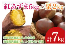 【先行予約】【2025年9月より順次発送】紅あずま5kg と 栗2kg（茨城県共通返礼品：行方市、つくばみらい市）｜さつまいも サツマイモ べにあずま くり セット 数量限定 茨城県 大子町（CD122）