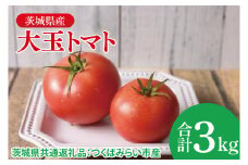大玉トマト 3kg（茨城県共通返礼品：つくばみらい市産）|トマト　大きい 野菜 夏野菜 数量限定 つくばみらい市産 共通返礼品 茨城県 大子町（CD148）
