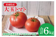 大玉トマト 6kg（茨城県共通返礼品：つくばみらい市産）|トマト　大きい 野菜 夏野菜 数量限定 つくばみらい市産 共通返礼品 茨城県 大子町（CD149）