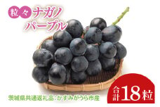 【先行予約】【2025年8月より発送開始】粒々ぶどう18粒ナガノパープル（茨城県共通返礼品：かすみがうら市産）|葡萄 ぶどう ブドウ 果物 くだもの フルーツ ナガノパープル 数量限定 かすみがうら市産 共通返礼品 茨城県 大子町（CD164）