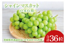 【先行予約】【お歳暮】シャインマスカットの宝石箱36粒（茨城県共通返礼品：かすみがうら市）|プレゼント 贈答 贈り物 ぶどう 葡萄 ブドウ マスカット 茨城県 大子町（CD190）