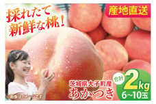 【先行予約】【数量限定】大子町産 もも「あかつき」２kg（6～10玉）｜茨城県 白桃 モモ フルーツ 果物 産地直送 旬 人気 厳選 三村観光りんご園（BX006）