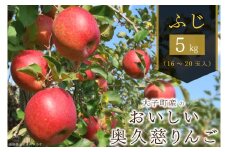 【2024年11月以降発送】大子町産のおいしい奥久慈りんご（ふじ）5kg（AH009）