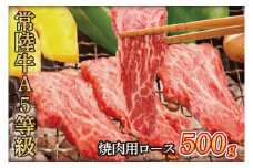 常陸牛A5等級　焼肉用500g（ロース）（AC008）