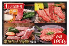 【4ヶ月定期便】常陸牛A5等級　焼肉用（もも肉・ヒレ肉・ロース肉・ランプ肉）(AC021)