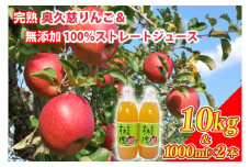 【数量限定・先行予約】【2025年11月上旬頃発送予定】奥久慈りんご園の樹上完熟 奥久慈りんご 10kg（30～40玉）＆りんご無添加100％ストレートジュース 1000ml×2本(AI005-1)