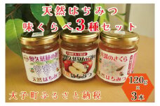 【2025年10月～2026年4月発送】天然はちみつ 味くらべ3種セット 120g×3本 【藤の花・りんご花・さくら】（BG001）