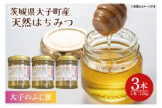【2025年10月～2026年4月発送】天然はちみつ【大子のふじ蜜 120g×3本セット】 ハニー 大子産 国産 ハチミツ（BG002）