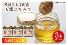 【2025年10月～2026年4月発送】天然はちみつ【大子のりんご蜜 120g×3本セット】 ハニー 大子産 国産 ハチミツ(BG003)