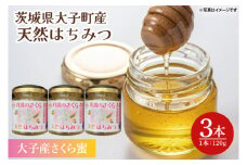 【2025年10月～2026年4月発送】天然はちみつ【大子のさくら蜜 120g×3本セット】 ハニー 大子産 国産 ハチミツ(BG004)