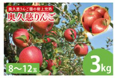 【数量限定・先行予約】【2025年9月中旬頃発送開始予定】奥久慈りんご園の樹上完熟 奥久慈りんご 3kg（8～12玉）(AI003-1)