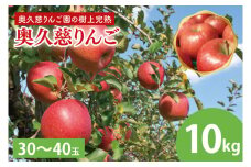 【数量限定・先行予約】【2025年9月中旬頃発送開始予定】奥久慈りんご園の樹上完熟 奥久慈りんご 10kg（30～40玉）(AI004-1)