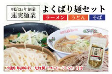 【お中元】創業明治35年蓮実麺業のよくばり麺セット　万能中華調味料「是好醤（コレイージャン）」60g×1袋付き 麺類 ラーメン【贈答 贈り物 包装 プレゼント 指定日 日時指定 熨斗 のし】（AW013）