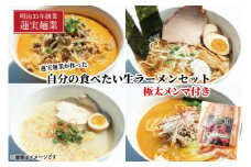 蓮実麺業が作った自分の食べたい生ラーメンセット　極太メンマ300g付き 麺類 ラーメン（AW014）