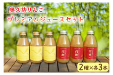 【数量限定】奥久慈りんごプレミアムジュースセット 2種×各3本、計6本(200ml/本)（AV002）