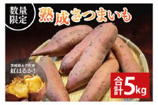 【先行予約】【10月中旬より順次発送予定】熟成さつまいも 紅はるか 5kg｜茨城県 大子町 サツマイモ べにはるか 芋 甘い ホクホク 野菜 数量限定 5キロ 旬（CH001）イモ べにはるか 芋 甘い ホクホク 野菜 数量限定 5キロ 旬（CH001）