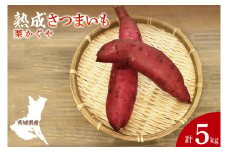 【先行予約】【10月中旬より順次発送予定】熟成さつまいも 栗かぐや 5kg｜茨城県 大子町 サツマイモ 芋 甘い ホクホク 野菜 数量限定 5キロ 旬（CH004）