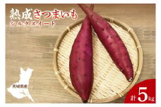 【先行予約】【10月中旬より順次発送予定】熟成さつまいも シルクスイート5kg｜茨城県 大子町 サツマイモ 芋 甘い ホクホク 野菜 数量限定 5キロ 旬（CH003）