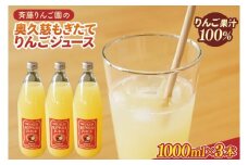 斉藤りんご園の奥久慈りんごジュース（ストレート）1000ml×3本セット（化粧箱入り）｜茨城県 大子町 林檎 果汁 100％ 無添加 フルーツ 旬 果物 子ども(CG005)