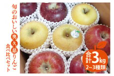 【先行予約】【10月中旬頃発送予定】【しいなりんご園】旬のおいしい奥久慈りんご食べ比べセット 約3㎏｜茨城県 大子町 林檎 詰合せ 旬 果物 フルーツ ギフト 贈答（CI001-1）
