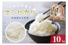 【 令和7年産】つやつや光る 新米コシヒカリ 10㎏ 菊池農園｜茨城県 大子町 お米 白米 精米 産地直送 米 もちもち（CL002-1）