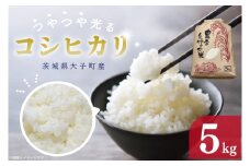 【 令和7年産】つやつや光る 新米コシヒカリ 5㎏ 菊池農園｜茨城県 大子町 お米 白米 精米 産地直送（CL001-1）