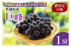 【先行予約】巨峰 1房（茨城県共通返礼品：かすみがうら市産）※2025年8月初旬～2025年10月下旬頃に順次発送予定（CD019）