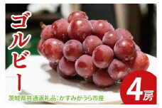 【先行予約】ゴルビー 4房（茨城県共通返礼品：かすみがうら市産）　※2025年9月初旬～2025年10月下旬頃に順次発送予定（CD027）