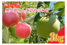 【2025年先行予約】樹上完熟の奥久慈りんご詰め合わせ　園主おまかせ約3kg（6～14玉）【2025年10月上旬頃より順次発送予定】斉藤りんご園第2直売所｜茨城県 大子町 林檎 果物 フルーツ 旬（CG001）