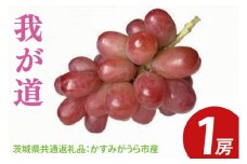 【先行予約】我が道 1房（茨城県共通返礼品：かすみがうら市産）　※2025年9月初旬～2025年10月下旬頃に順次発送予定（CD031）
