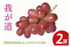 【先行予約】我が道 2房（茨城県共通返礼品：かすみがうら市産）　※2025年9月初旬～2025年10月下旬頃に順次発送予定（CD032）