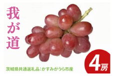 【先行予約】我が道 4房（茨城県共通返礼品：かすみがうら市産）　※2025年9月初旬～2025年10月下旬頃に順次発送予定（CD033）