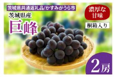 【先行予約】巨峰 桐箱入り2房（茨城県共通返礼品：かすみがうら市産）　※2025年8月初旬～2025年10月下旬頃に順次発送予定（CD040）