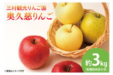 【先行予約・数量限定】三村観光りんご園の奥久慈りんご（各種詰め合わせ）約3kg【10月中旬頃順次発送予定】｜茨城県 大子町 林檎 旬 果物 フルーツ 果実 果汁 ギフト 贈答（BX001-1）