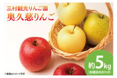 【先行予約・数量限定】三村観光りんご園の奥久慈りんご（各種詰め合わせ）約5kg【10月中旬頃順次発送予定】｜茨城県 大子町 林檎 旬 果物 フルーツ 果実 果汁 ギフト 贈答（BX002-1）
