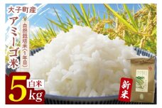 【先行予約】【11月中旬より順次発送予定】令和7年産 新米 5kg アミーゴ米 【白米】（コシヒカリ・天日干し米・自然栽培米 （1年目））｜茨城県 大子町 袋田 米 精米 おだがけ米 はざがけ米 いねかけ米 先行予約 農福連携 5キロ ミネラル成分（CA016)