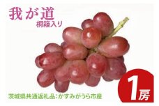 【先行予約】我が道 桐箱入り1房（茨城県共通返礼品：かすみがうら市産）　※2025年9月初旬～2025年10月下旬頃に順次発送予定（CD047）