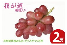 【先行予約】我が道 桐箱入り2房（茨城県共通返礼品：かすみがうら市産）　※2025年9月初旬～2025年10月下旬頃に順次発送予定（CD048）
