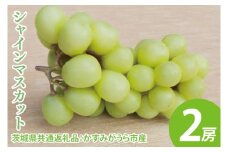 【先行予約】シャインマスカット 2房（茨城県共通返礼品：かすみがうら市産）　※2025年8月初旬～2026年1月下旬頃に順次発送予定（CD023）