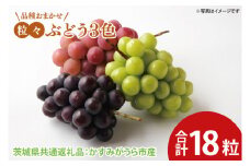 【先行予約】粒々ぶどう 3色 合計18粒 品種おまかせ（茨城県共通返礼品：かすみがうら市産）　※2025年9月初旬～2025年10月下旬頃に順次発送予定（CD057）