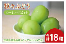【先行予約】粒々ぶどう シャインマスカット18粒（茨城県共通返礼品：かすみがうら市産）　※2025年8月初旬～2026年1月下旬頃に順次発送予定（CD053）