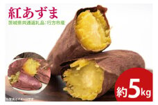 【先行予約】紅あずま 約5㎏（茨城県共通返礼品：行方市産）※2025年10月上旬～2026年3月下旬頃に順次発送予定（CD084）