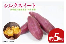 【先行予約】シルクスイート 約5㎏（茨城県共通返礼品：行方市産）※2025年10月上旬～2026年3月下旬頃に順次発送予定（CD086）
