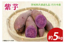 【先行予約】紫芋 約5㎏（茨城県共通返礼品：行方市産）※2025年12月上旬～2026年3月下旬頃に順次発送予定（CD087）